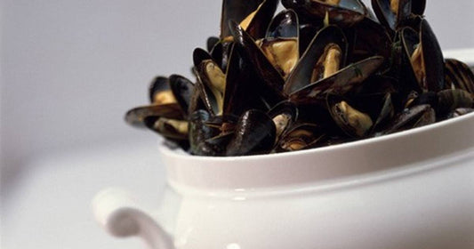 Bouchot-Muscheln in Rieslingsud