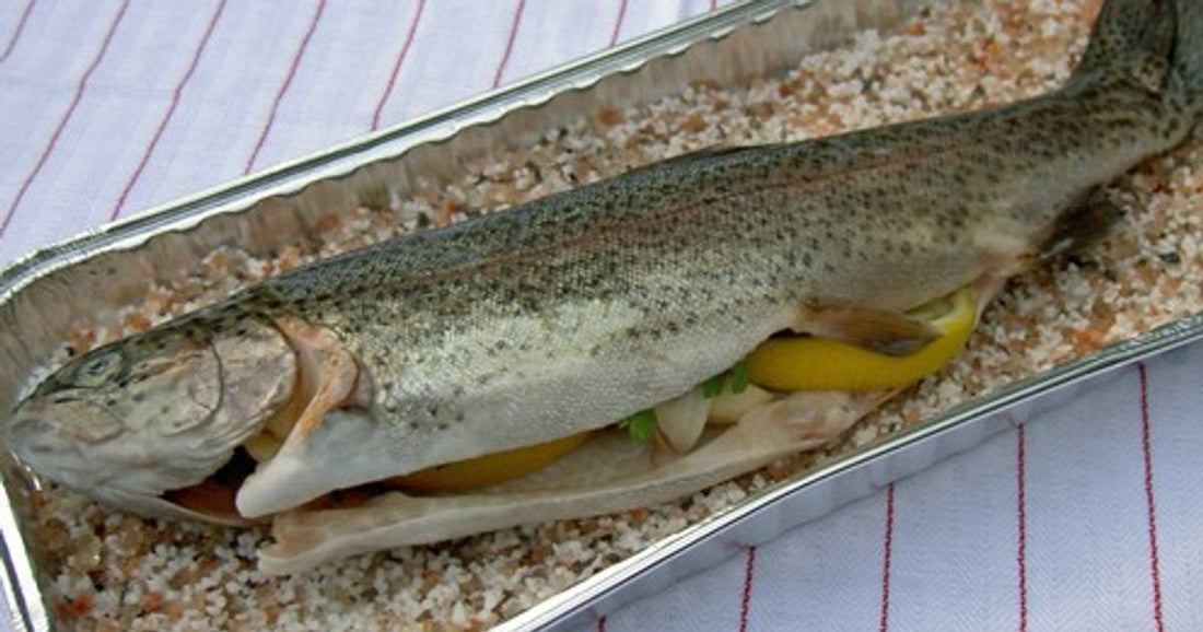 Fisch in der Salzkruste