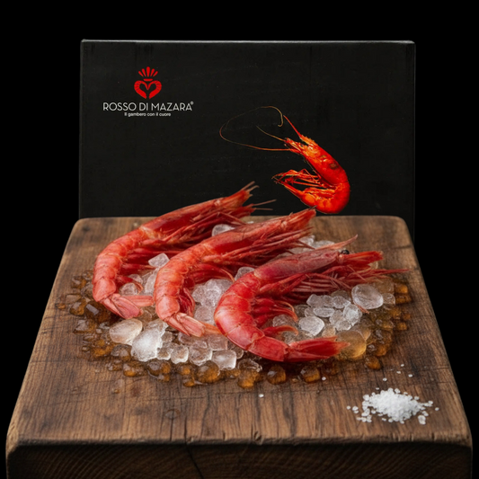 Gambero Rosso di Mazara – Premium Qualität – shrimpshop.ch