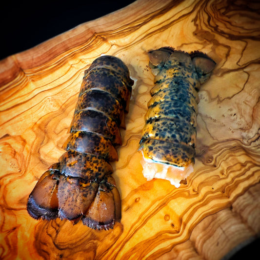 Hummerschwanz aus Wildfang, Premium Qualität – shrimpshop.ch
