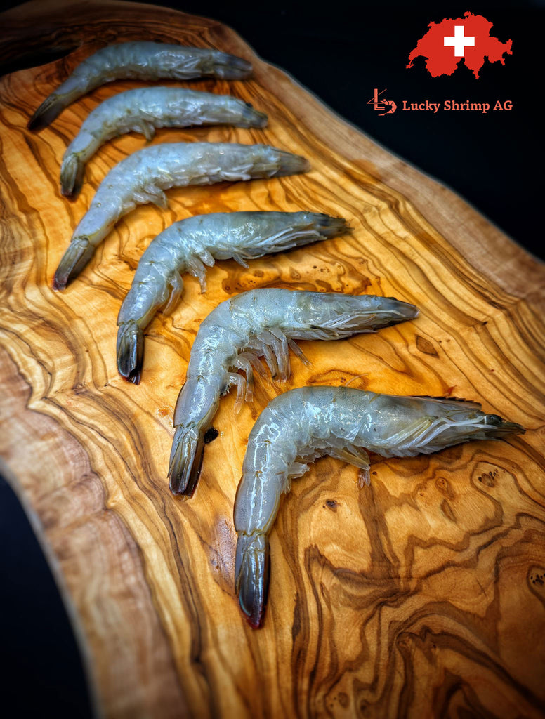 Lucky Shrimp – Schweizer Shrimps | Easy Peel | Mit eingeschnittener Schale