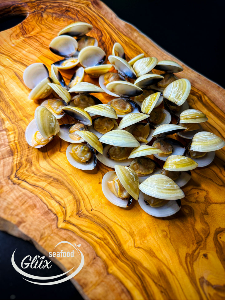 Vongole, Venusmuschel - Premium Qualität