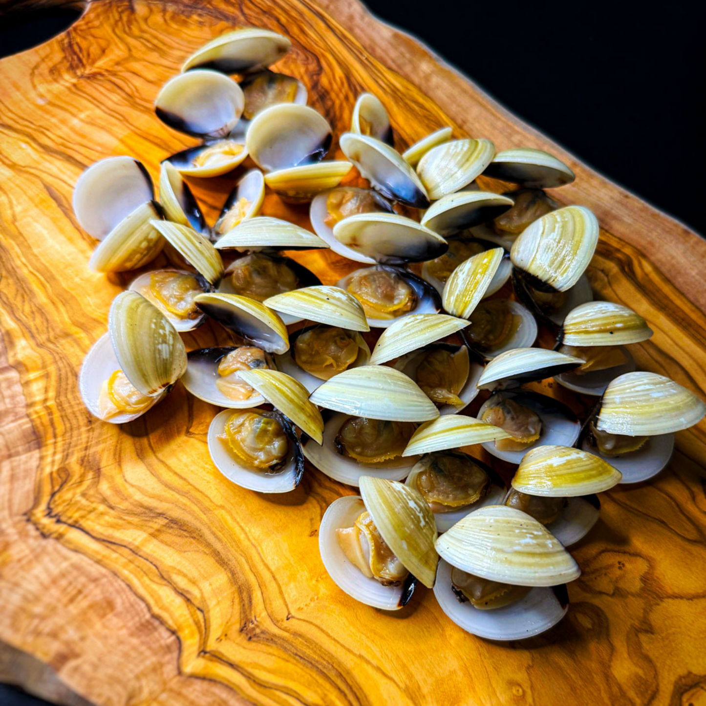 Vongole, Venusmuscheln – Premium Qualität – shrimpshop.ch