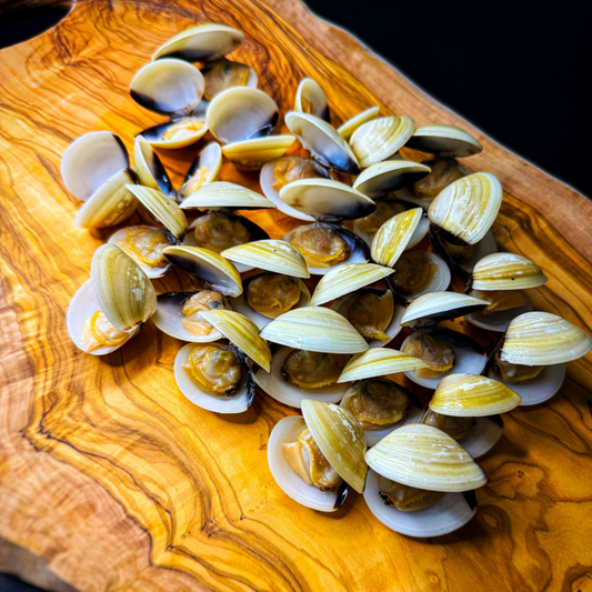 Vongole, Venusmuscheln – Premium Qualität – shrimpshop.ch